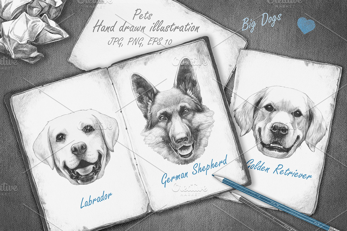 Pets / Big Dogs in Illustrations - product preview 8