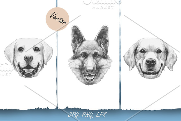 Pets / Big Dogs in Illustrations - product preview 1