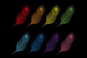 Feather set. Colorful collection