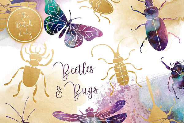 Beetles & Bugs Clipart Set