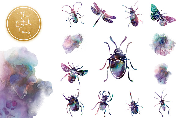 Beetles & Bugs Clipart Set in Illustrations - product preview 2