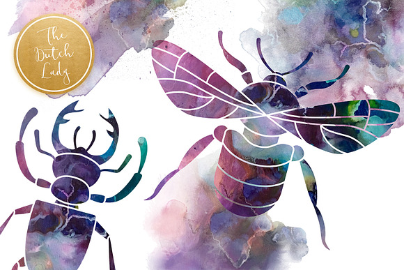 Beetles & Bugs Clipart Set in Illustrations - product preview 4