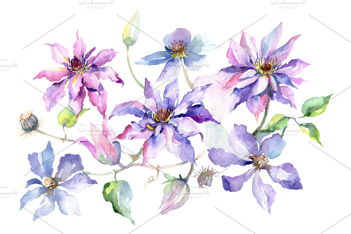 Branch of gentle purple flowers  in Illustrations - product preview 8