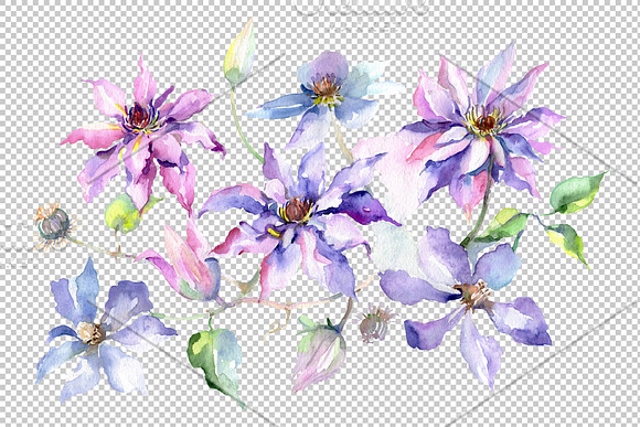 Branch of gentle purple flowers  in Illustrations - product preview 1