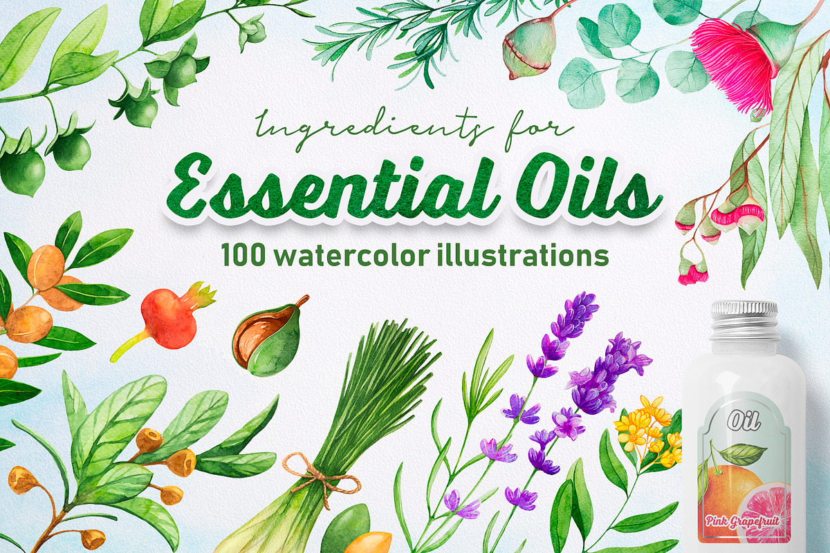 Essential Oils. Watercolor. in Illustrations - product preview 8