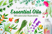 Essential Oils. Watercolor.