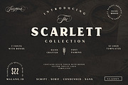 Scarlett Font Bundle + 12 Logos