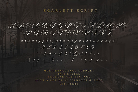 Scarlett Font Bundle + 12 Logos in Display Fonts - product preview 9