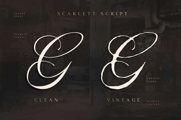Scarlett Font Bundle + 12 Logos in Display Fonts - product preview 10