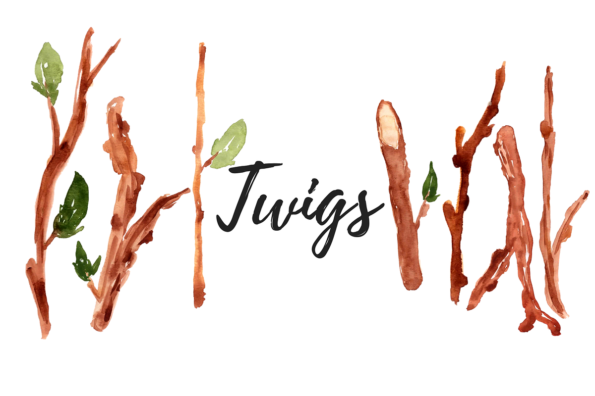 Watercolor Twig Sticker Clipart in Illustrations - product preview 8