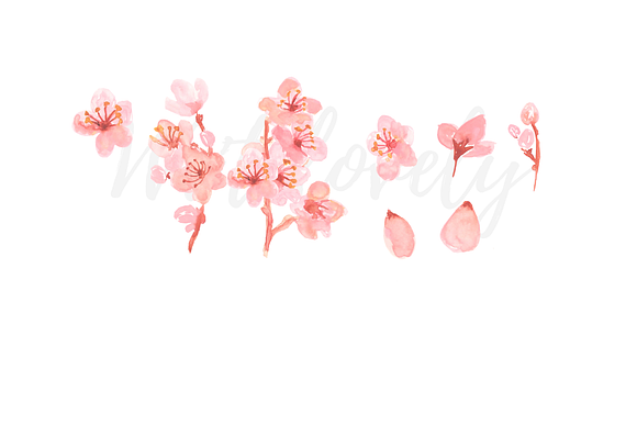 Watercolor clipart cherry blossom in Illustrations - product preview 1