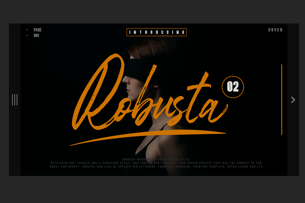 Robusta.02 + Sans Serif Font in Display Fonts - product preview 8