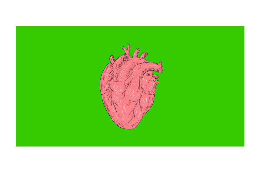  Animation Human Heart Anatomy 2D