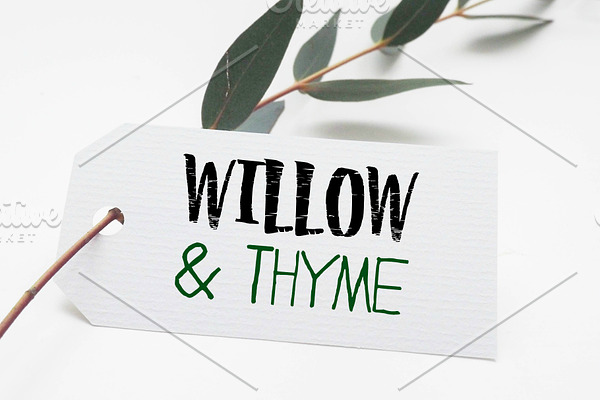 Willow & Thyme with Logo Ornaments