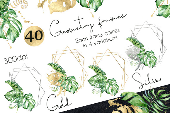 Geometry Tropical Frames creator in Objects - product preview 1