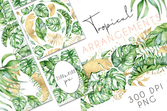 Tropical Arrangements watercolor  in Illustrations - product preview 8
