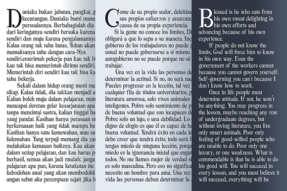 Viktoria Duo in Serif Fonts - product preview 9