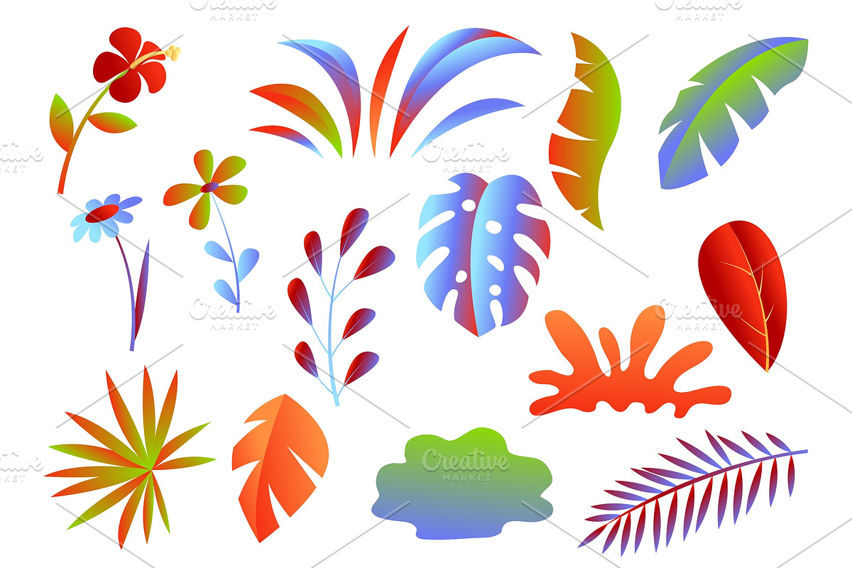 Set of tropical leaves and flowers. in Objects - product preview 8