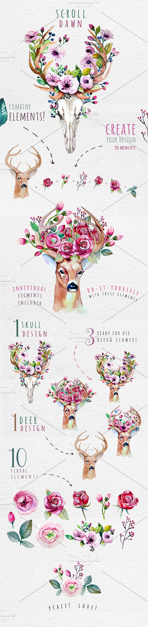 Deer, skull & floral in Illustrations - product preview 1