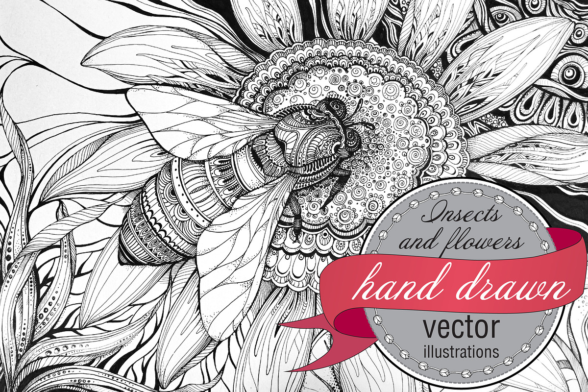 Hand-drawn insects illustrations in Graphics - product preview 8