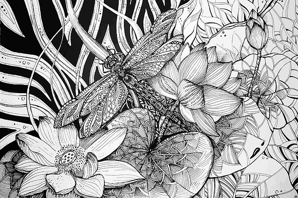 Hand-drawn insects illustrations in Graphics - product preview 1