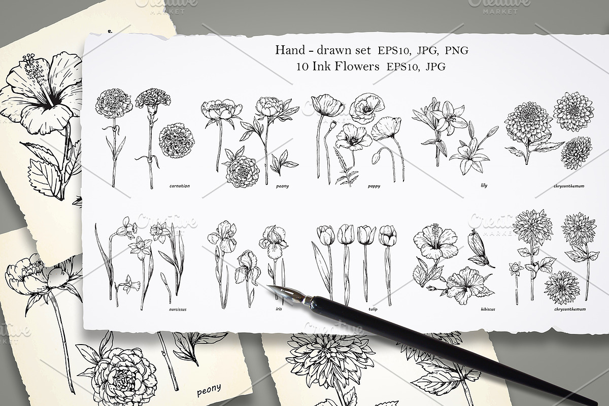 Set of Flowers in Illustrations - product preview 8