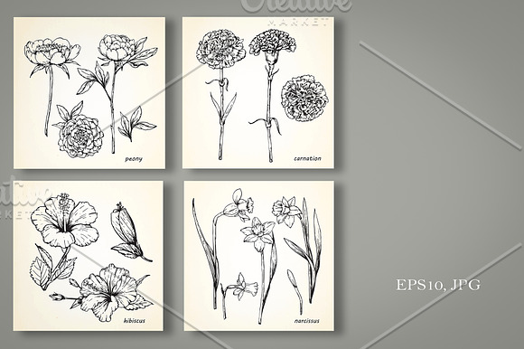 Set of Flowers in Illustrations - product preview 2