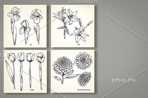 Set of Flowers in Illustrations - product preview 3