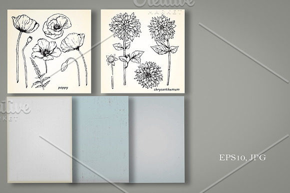 Set of Flowers in Illustrations - product preview 4