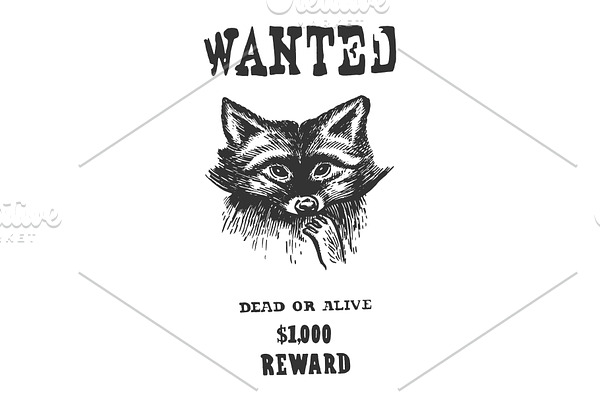 Poster with raccoon engraving