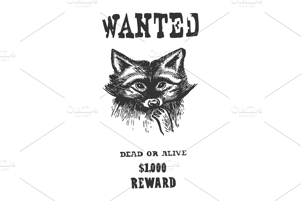 Poster with raccoon engraving in Illustrations - product preview 8