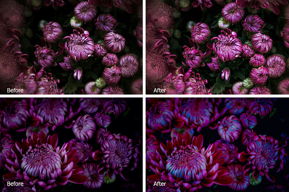 Chrysanthemum Lr Presets in Photoshop Actions - product preview 2