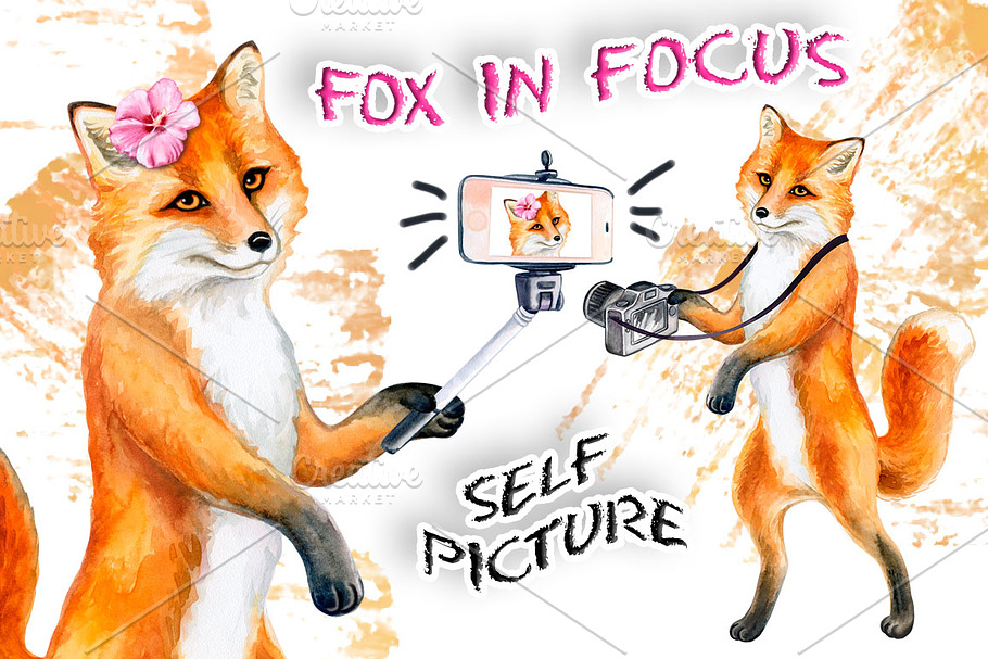 Fox in focus. Set universal animals