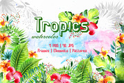 Tropics Watercolor png