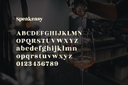 Speakeasy | A Classy Serif