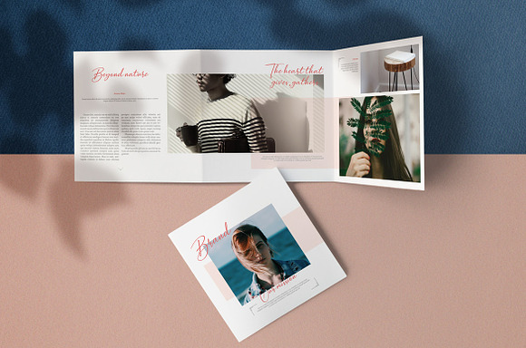 Delicate Brochure in Brochure Templates - product preview 1