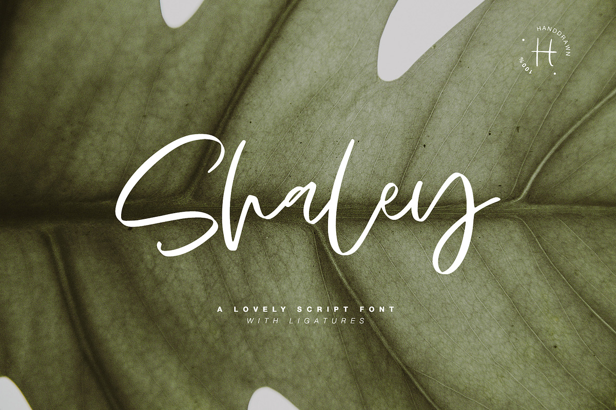 SHALEY SCRIPT in Script Fonts - product preview 8