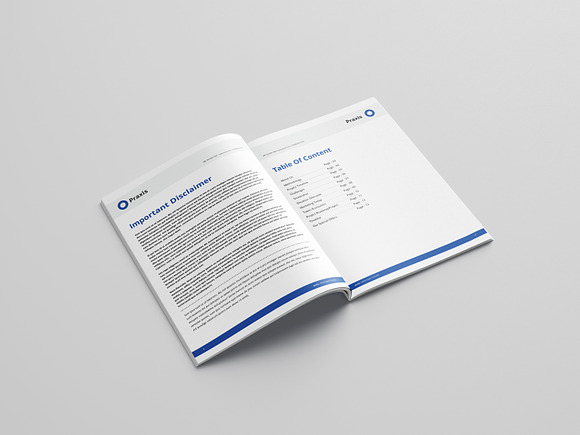 White Paper Template Word in Brochure Templates - product preview 2