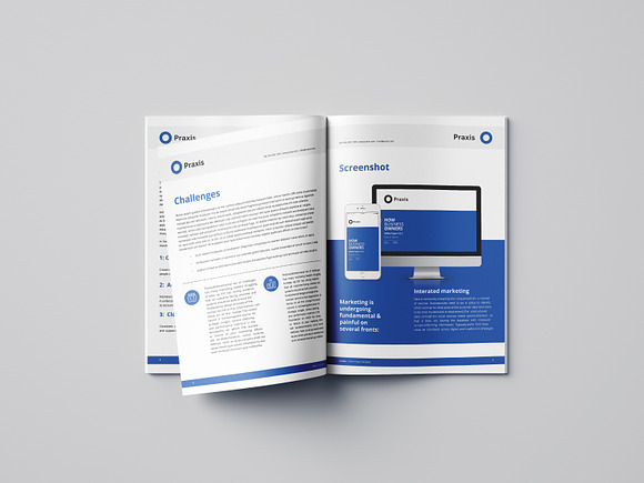 White Paper Template Word in Brochure Templates - product preview 3