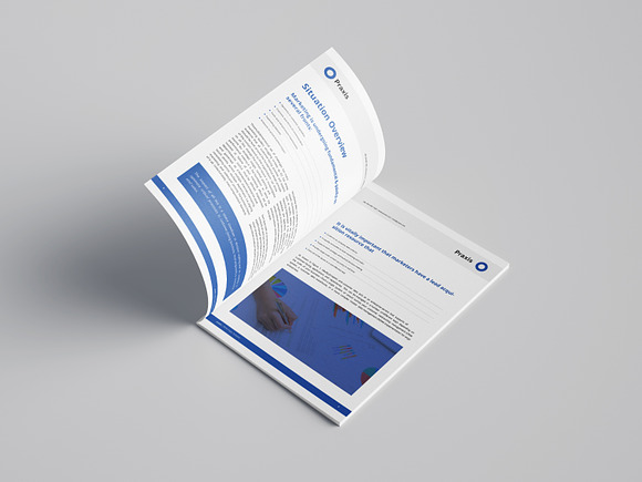 White Paper Template Word in Brochure Templates - product preview 4