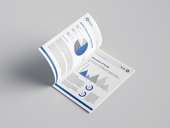 White Paper Template Word in Brochure Templates - product preview 5