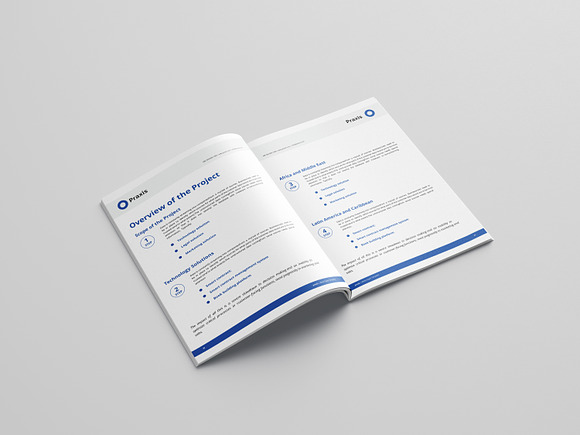 White Paper Template Word in Brochure Templates - product preview 6