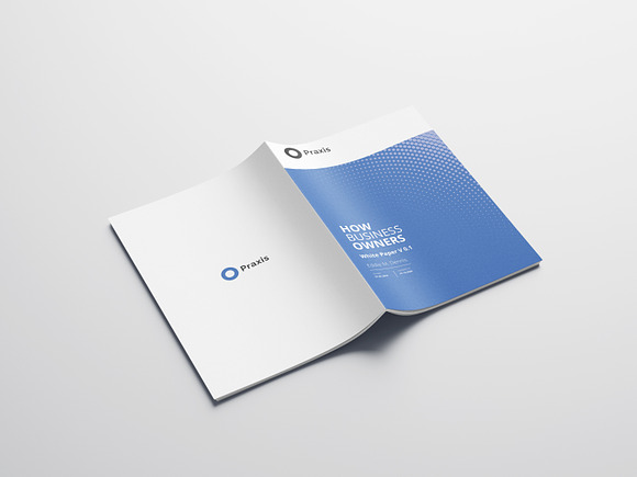 White Paper Template Word in Brochure Templates - product preview 7