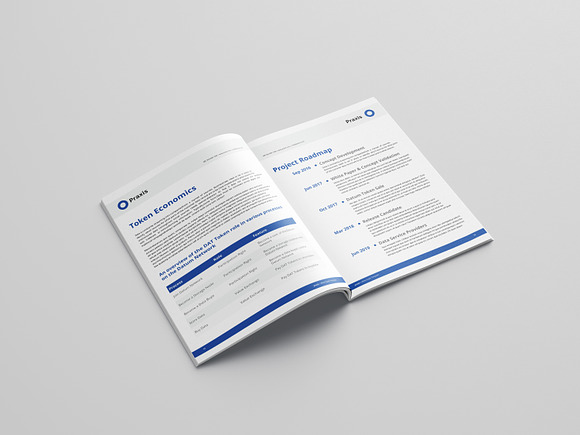 White Paper Template Word in Brochure Templates - product preview 8