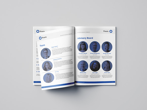 White Paper Template Word in Brochure Templates - product preview 9