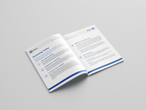 White Paper Template Word in Brochure Templates - product preview 10