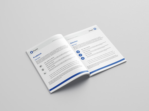 White Paper Template Word in Brochure Templates - product preview 11