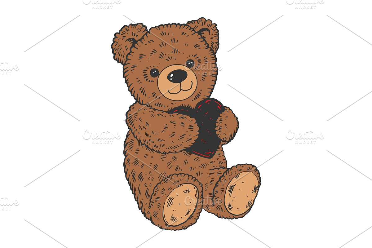 Teddy bear color sketch engraving in Illustrations - product preview 8