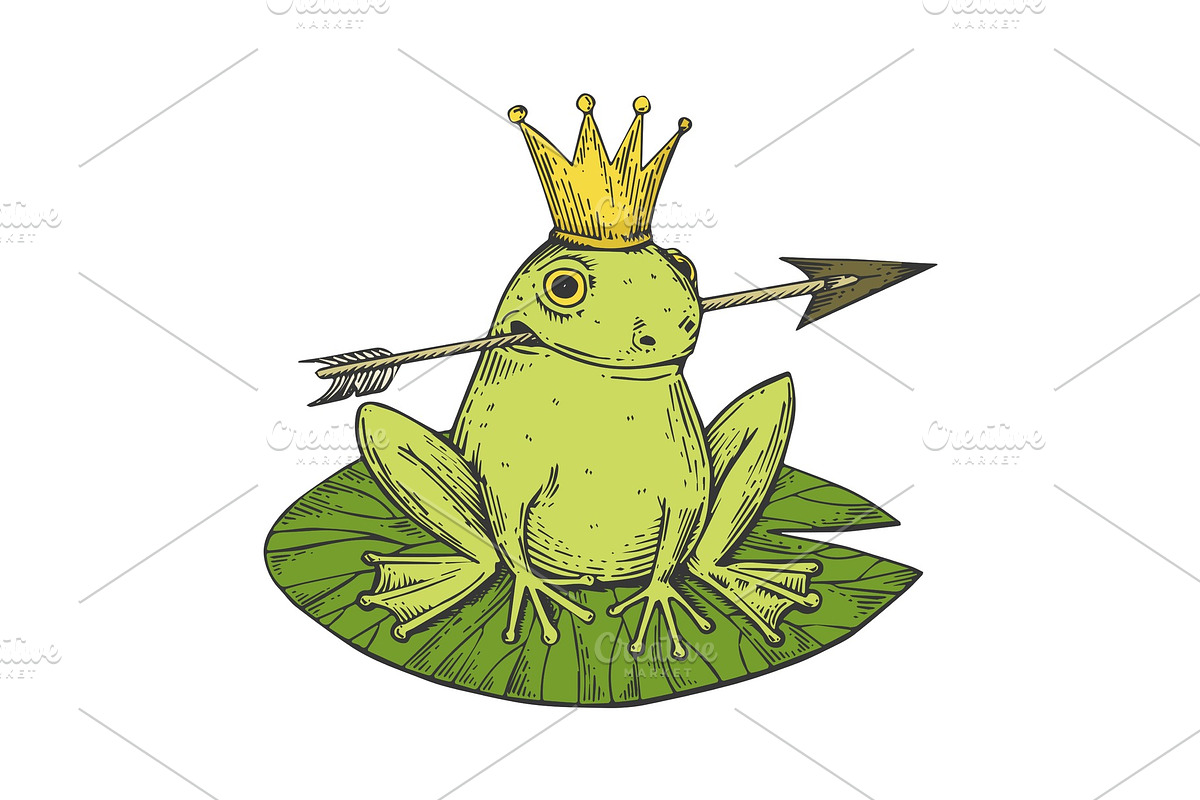 Princess Frog color sketch engraving in Illustrations - product preview 8