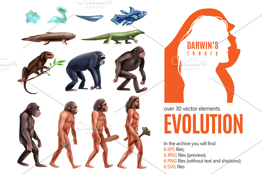 Evolution Theory Set in Illustrations - product preview 8